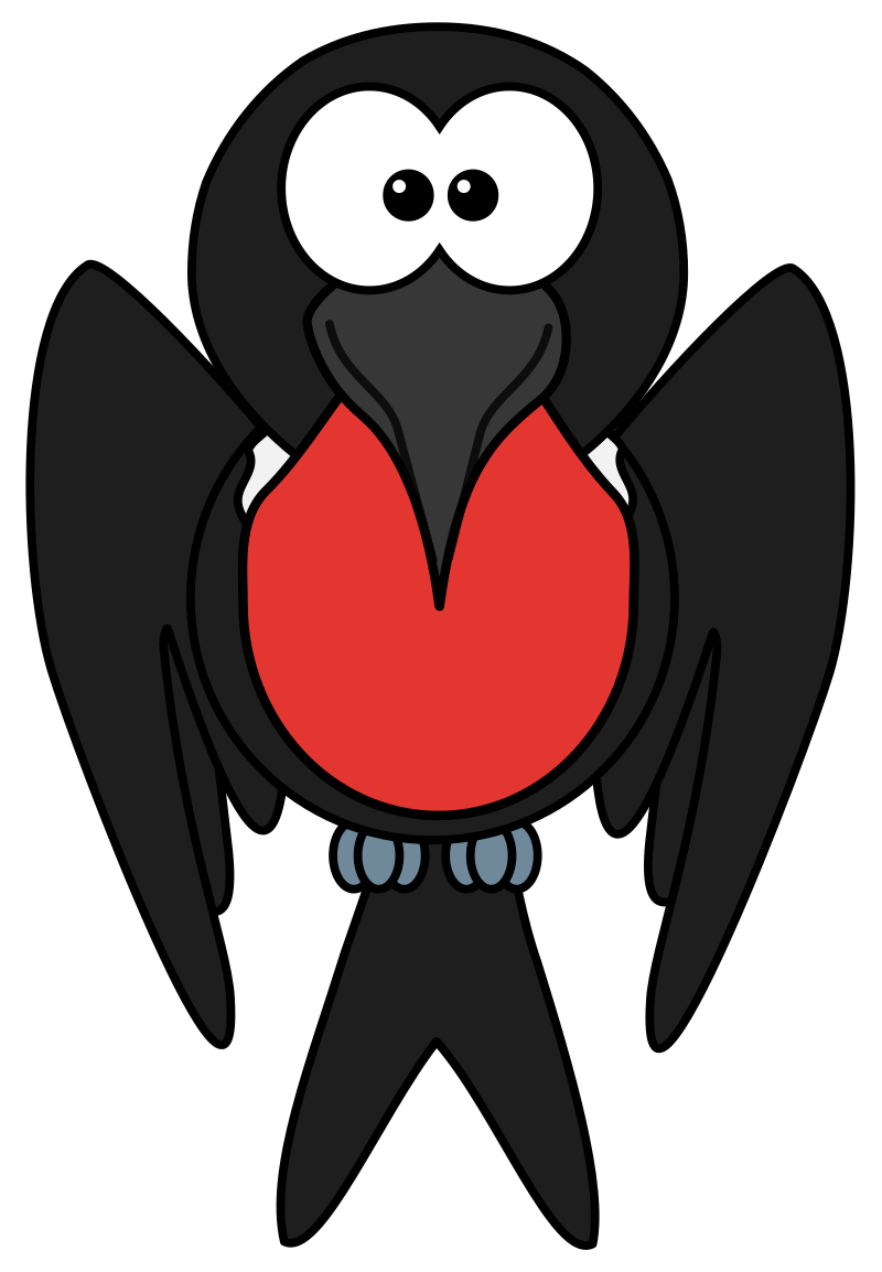 Frigatebird