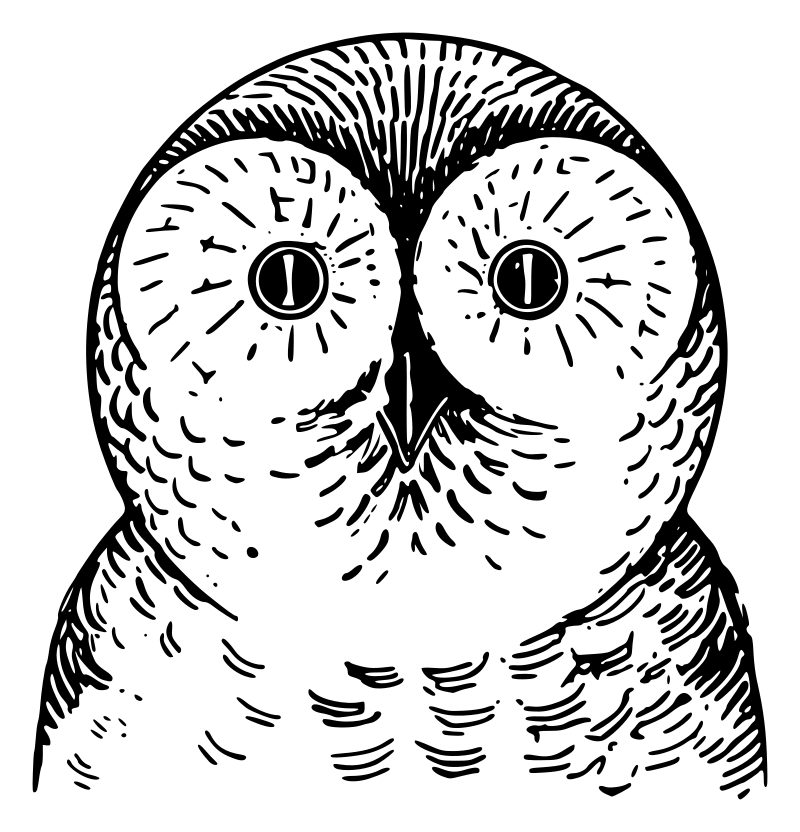 Lutz - Owl head - outline