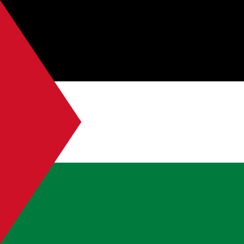 Square Palestine flag icon