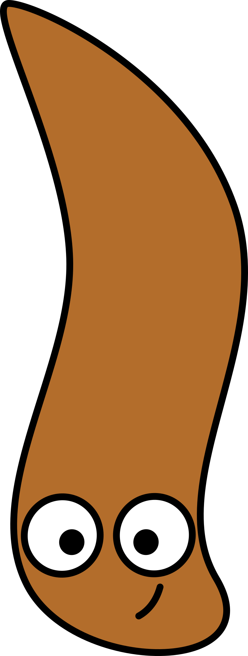 Flatworm