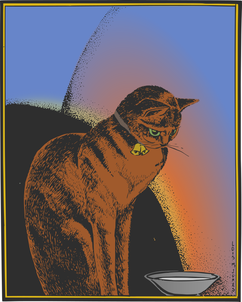 Cat - Colour Remix