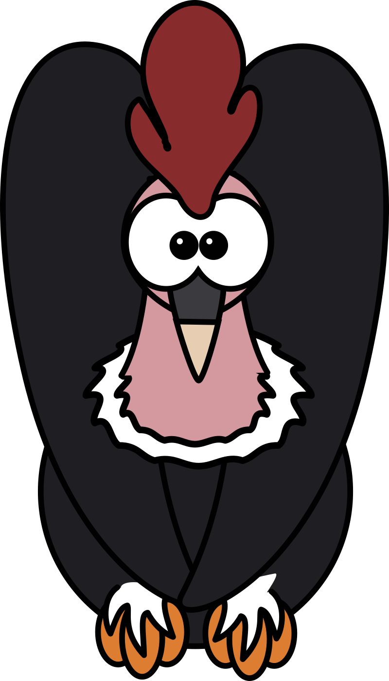 Andean Condor