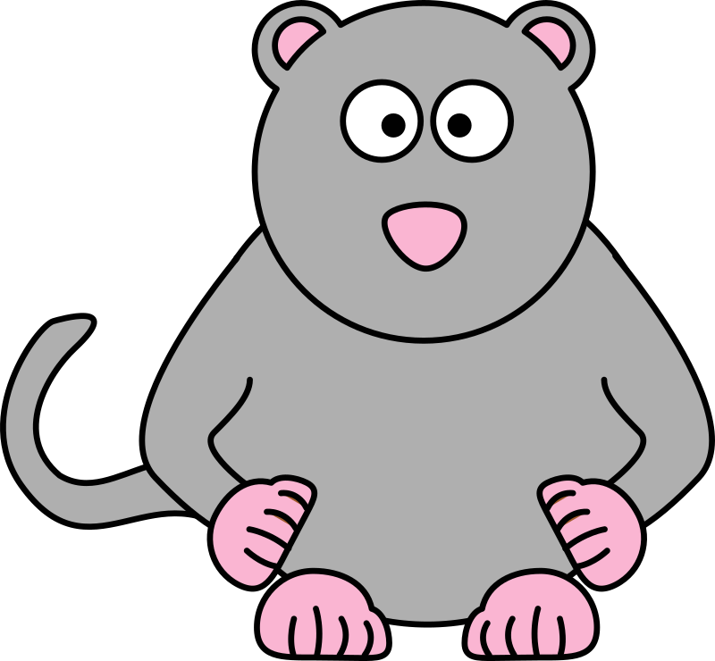 Bushbaby