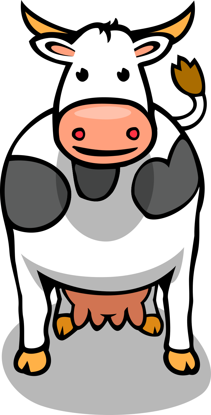 A grown up cow