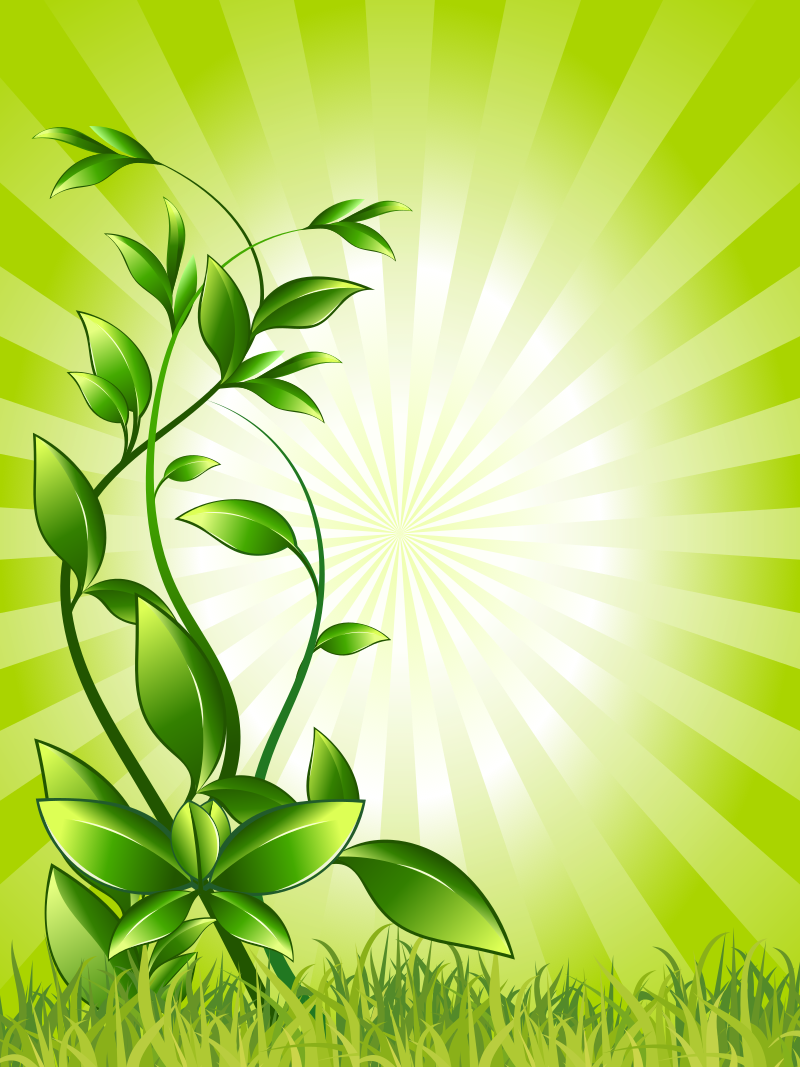 Green Frame Template