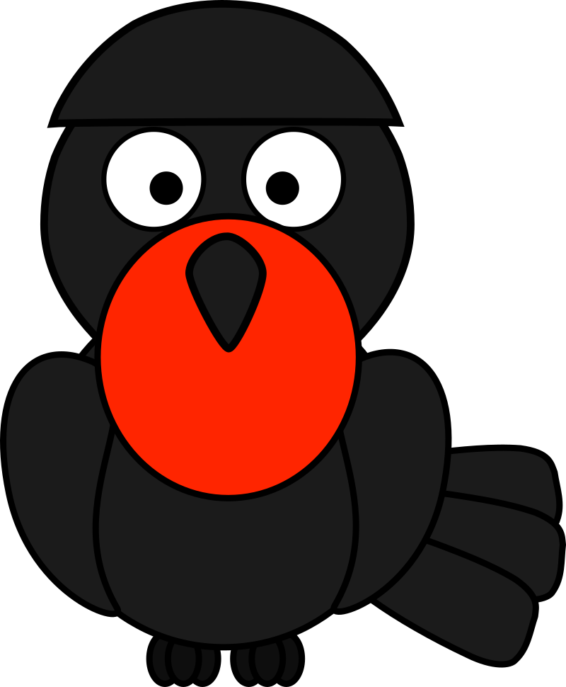 Umbrella Bird