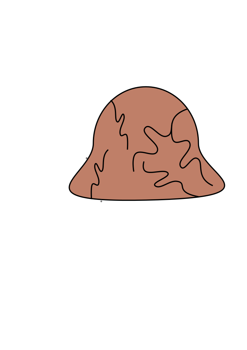 Brain Coral