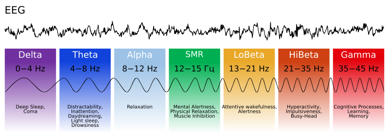 Brainwave Frequencies and Levels of Consciousness