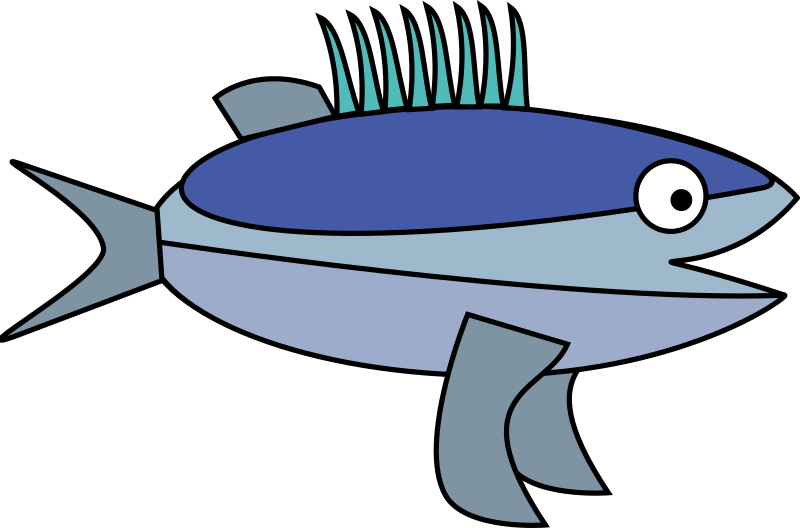 Barracuda