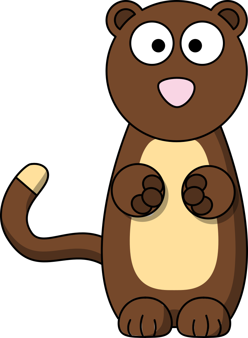 Ferret
