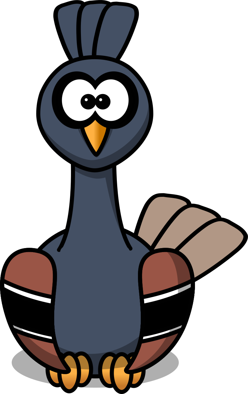 Orphan Bird