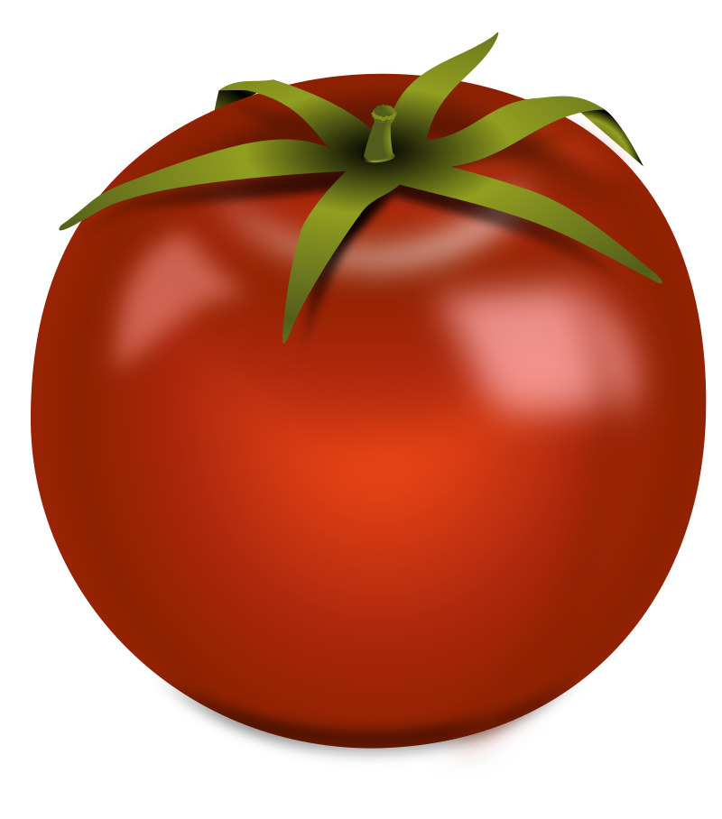 Tomato - Isolated
