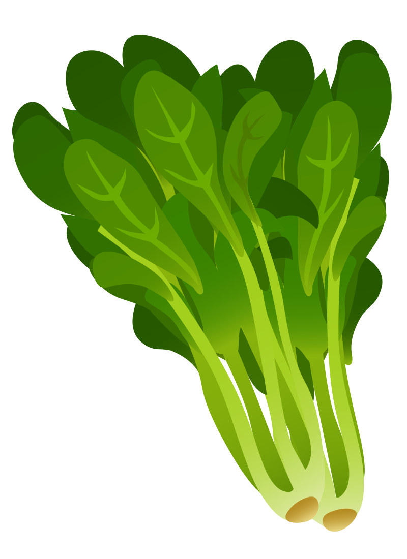 Bok Choy - Isolated