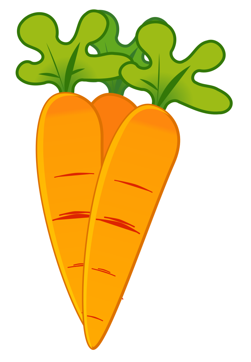 Carrots Isolated