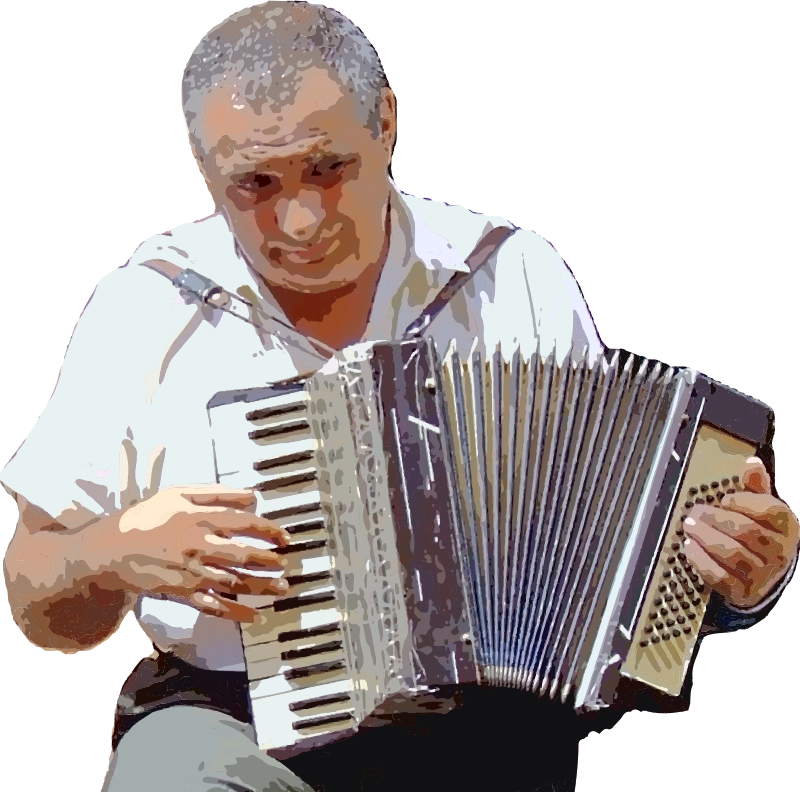 Accordion Player