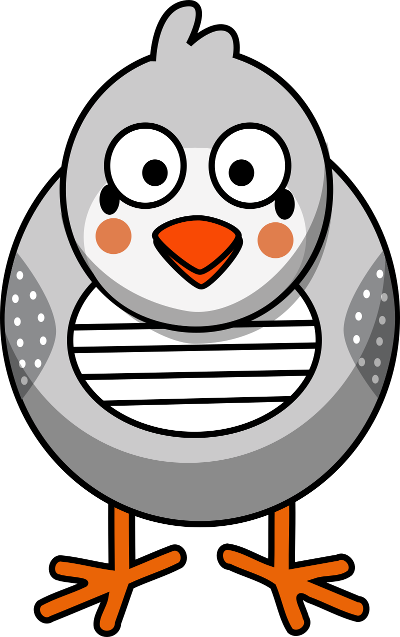 Zebra Finch