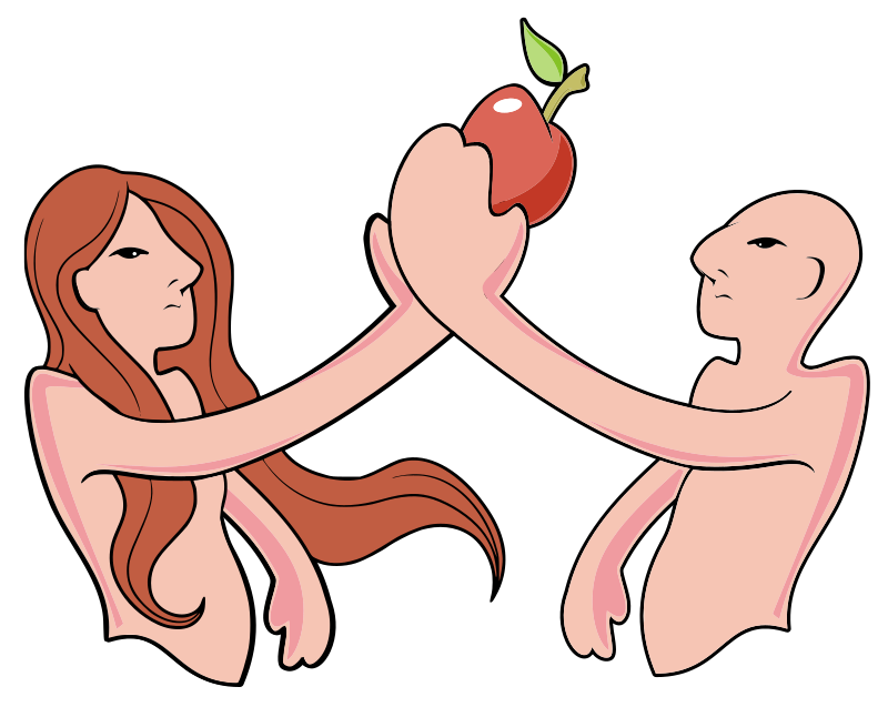 Woman Man And The Apple