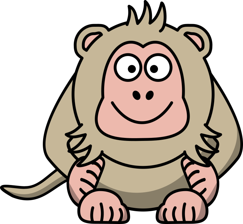 Macaque