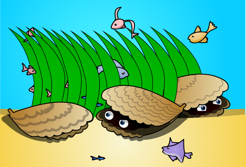 Hide and seek Clams