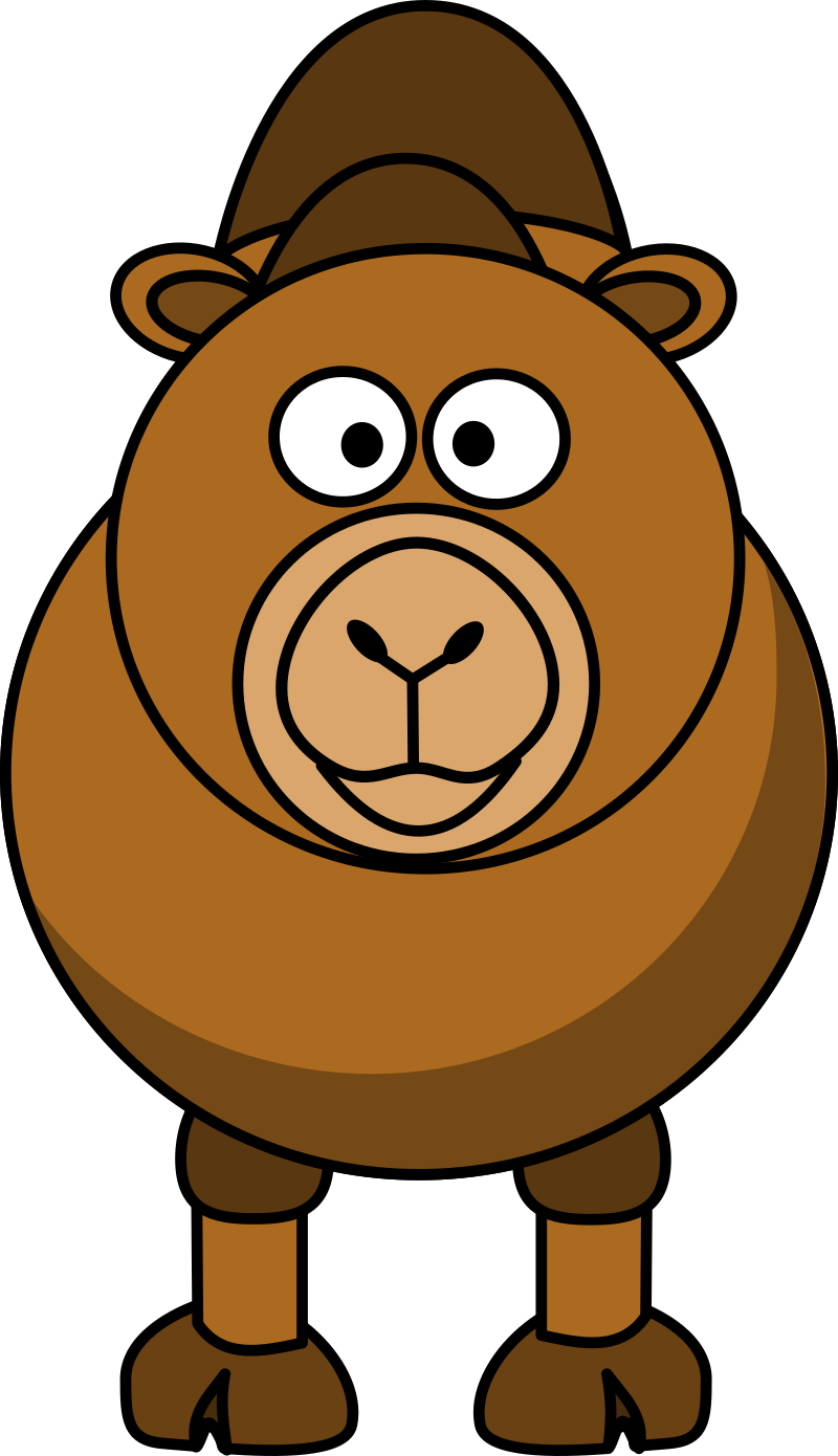 Bactrian camel
