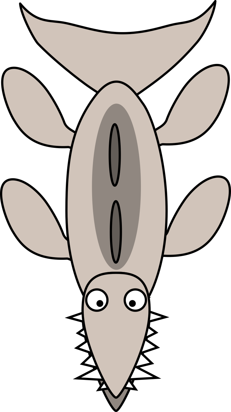 Alligator Gar