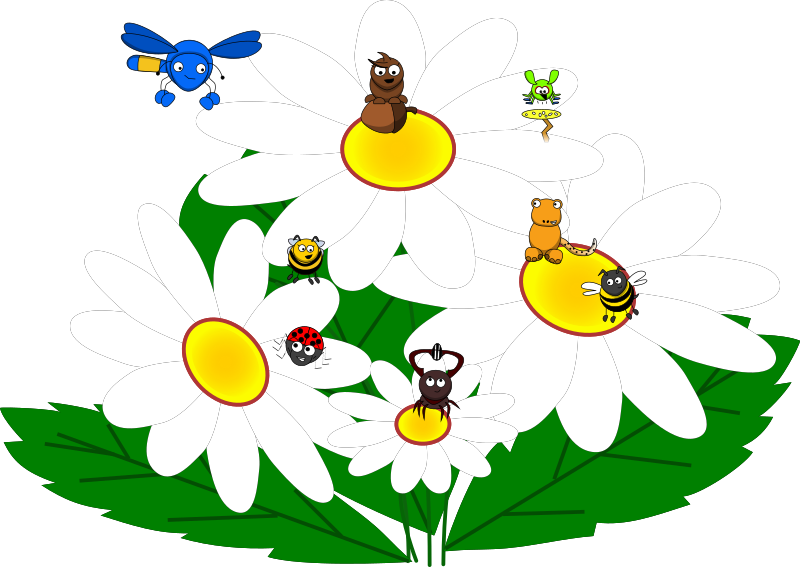 Fun on the Daisies
