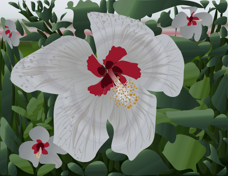 phlowers