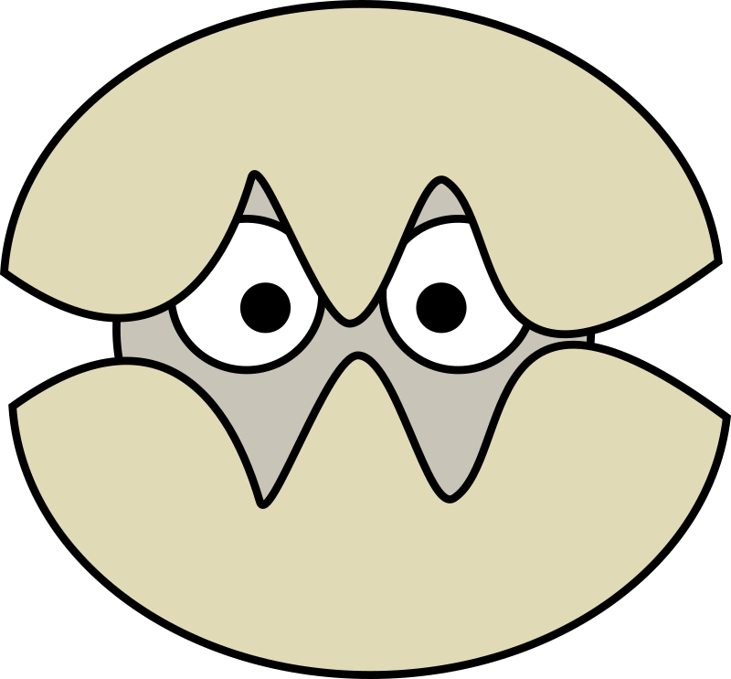 Oyster