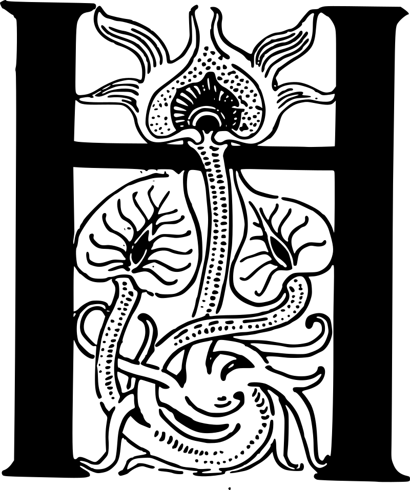 H