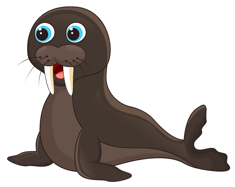 Cute Animals - Walrus Isolated