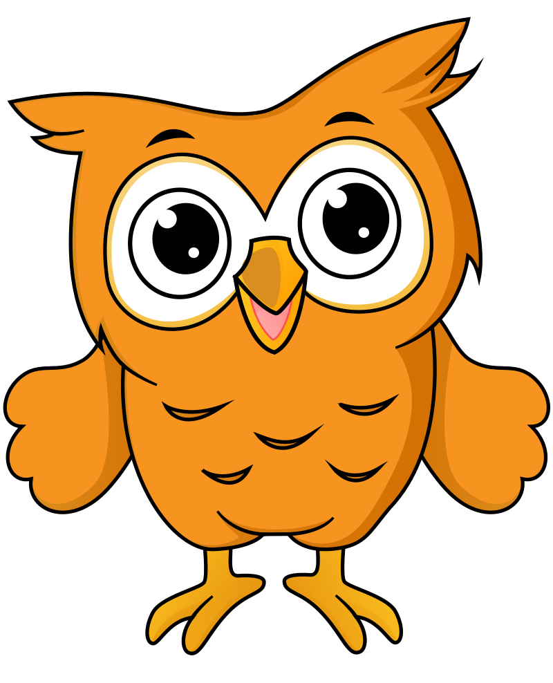 Cute Animals - Owl Isolated