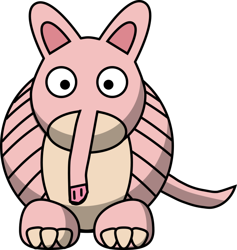 Pink Fairy Armadillo