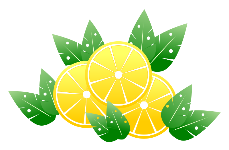 Lemon Slices - Isolated