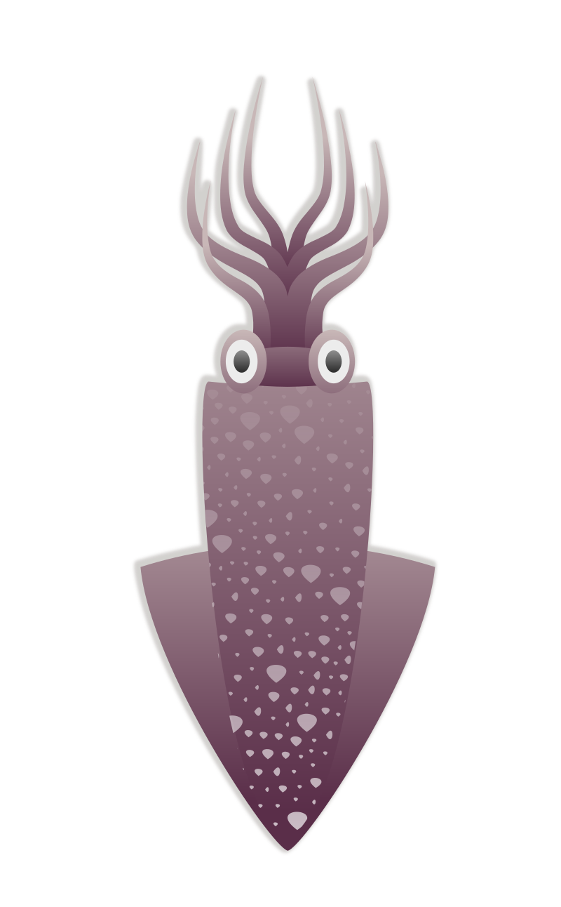 Squid - Isolated