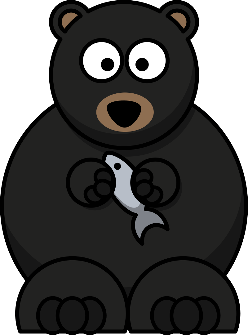 Black Bear