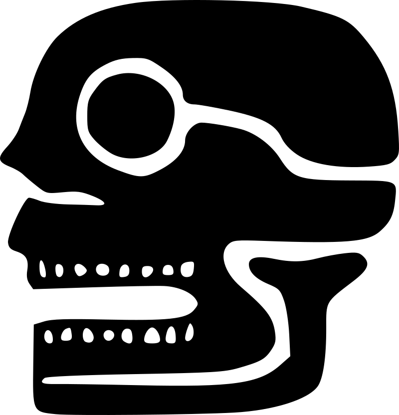 Mexican skull