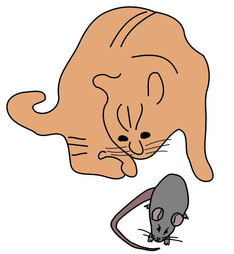 Cat with a Mouse - Remix