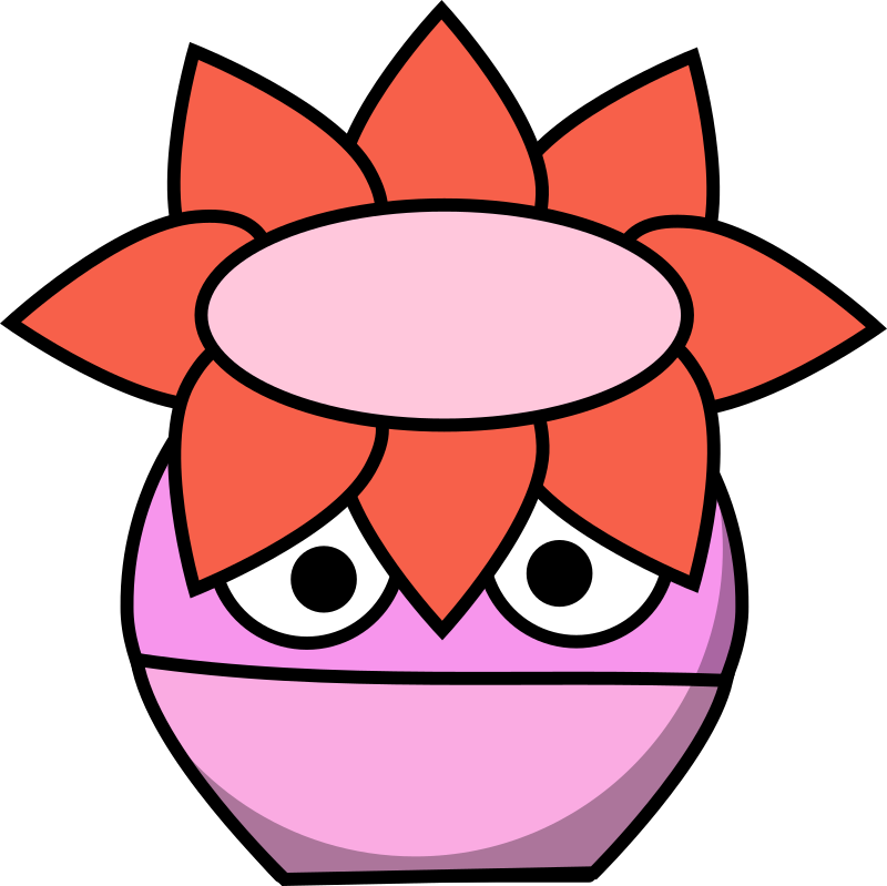 Sea Anemone
