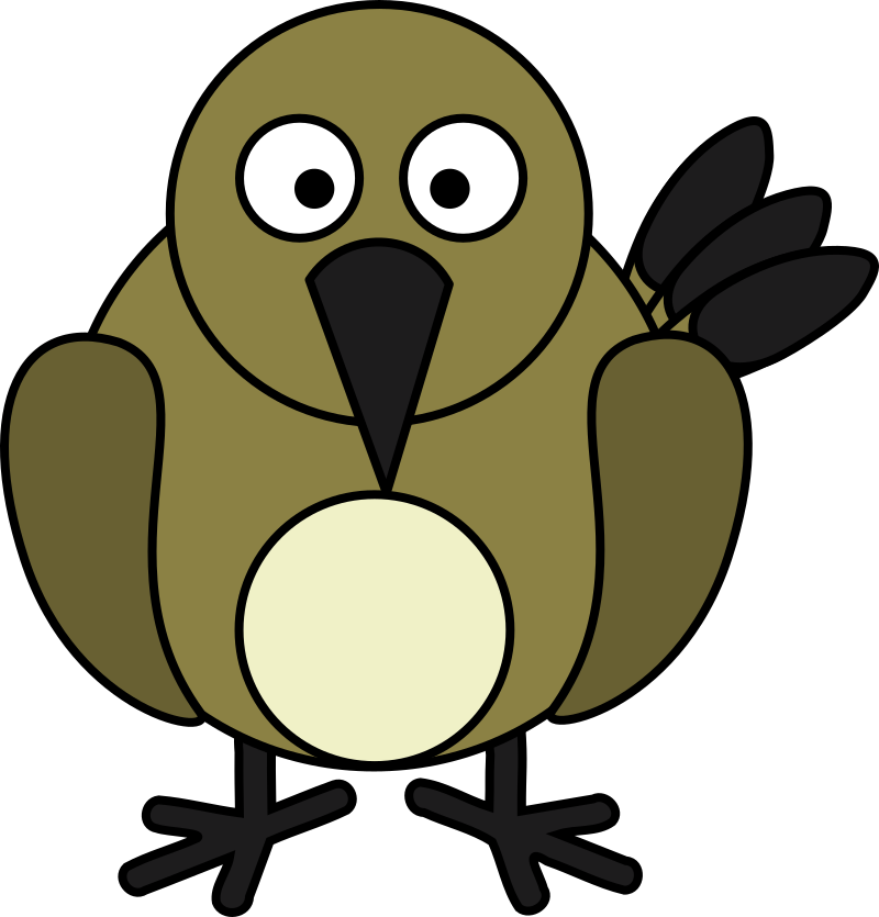 Flycatcher