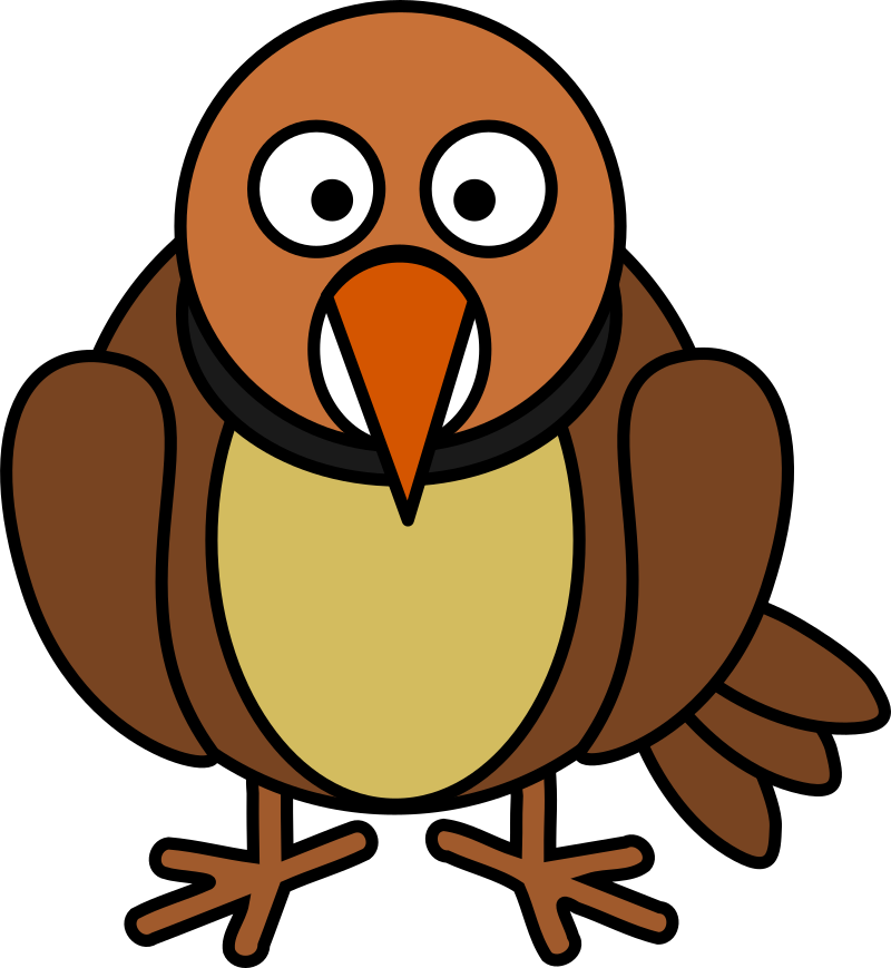 Collared Puffbird