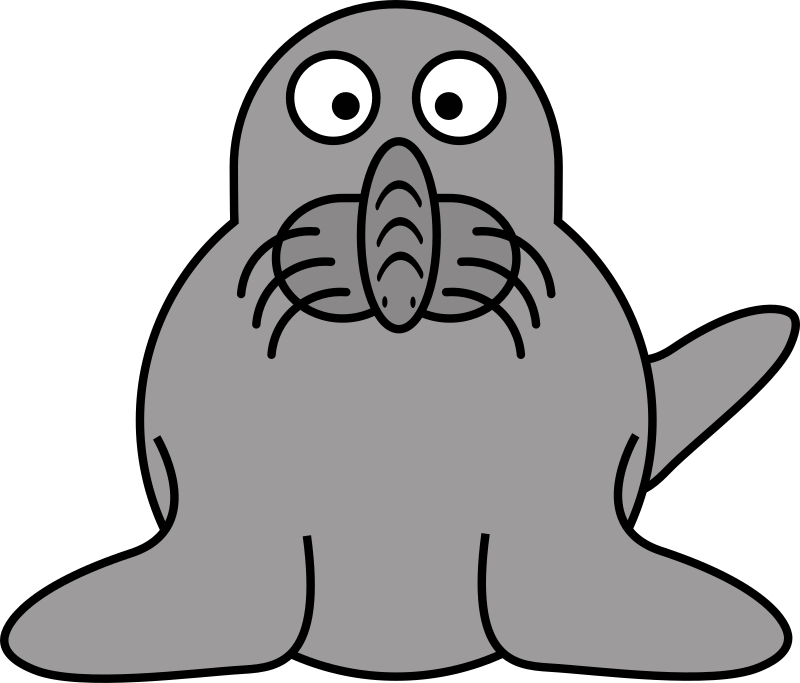 Elephant Seal