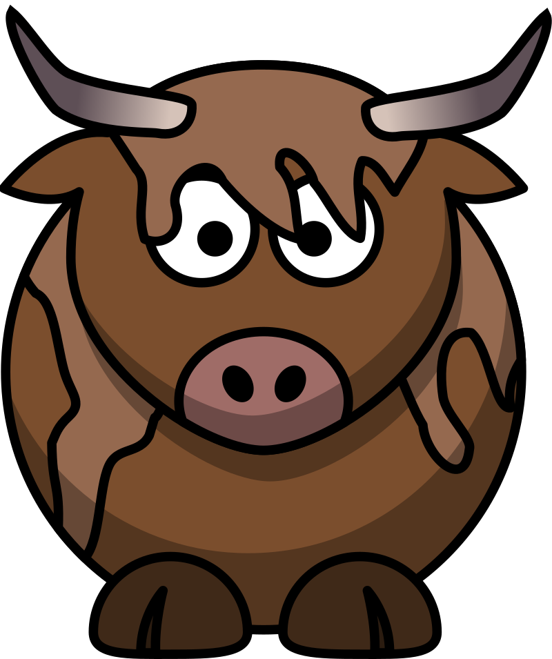 Highland Cow