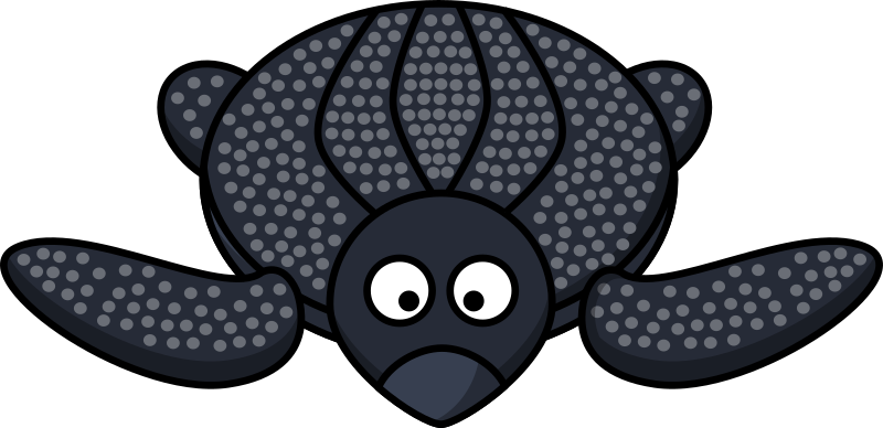 Leatherback Sea Turtle