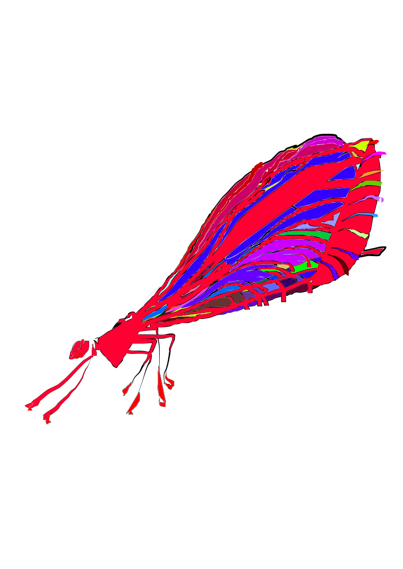 red damselfly