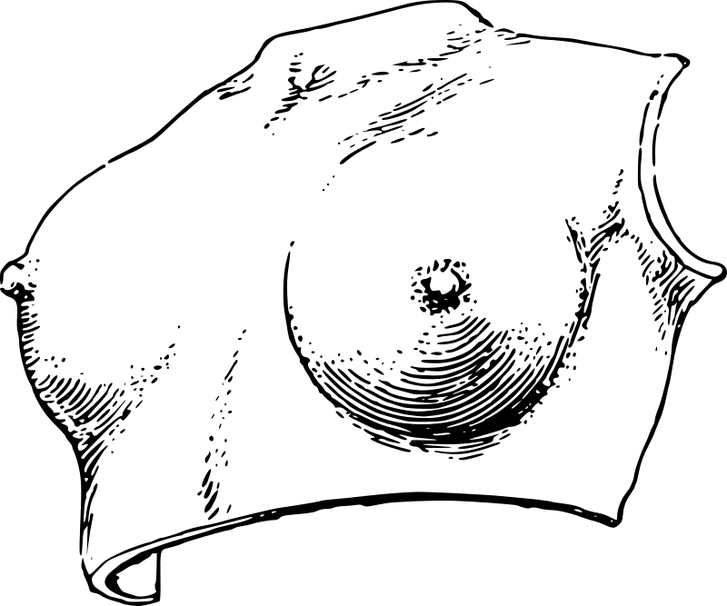 Breastplate