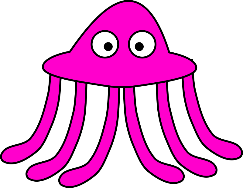 Jellyfish