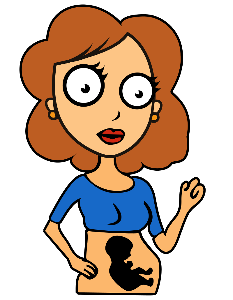 Pregnant Lady - Remix