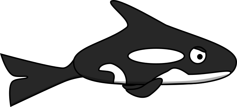 Cartoon Orca whale