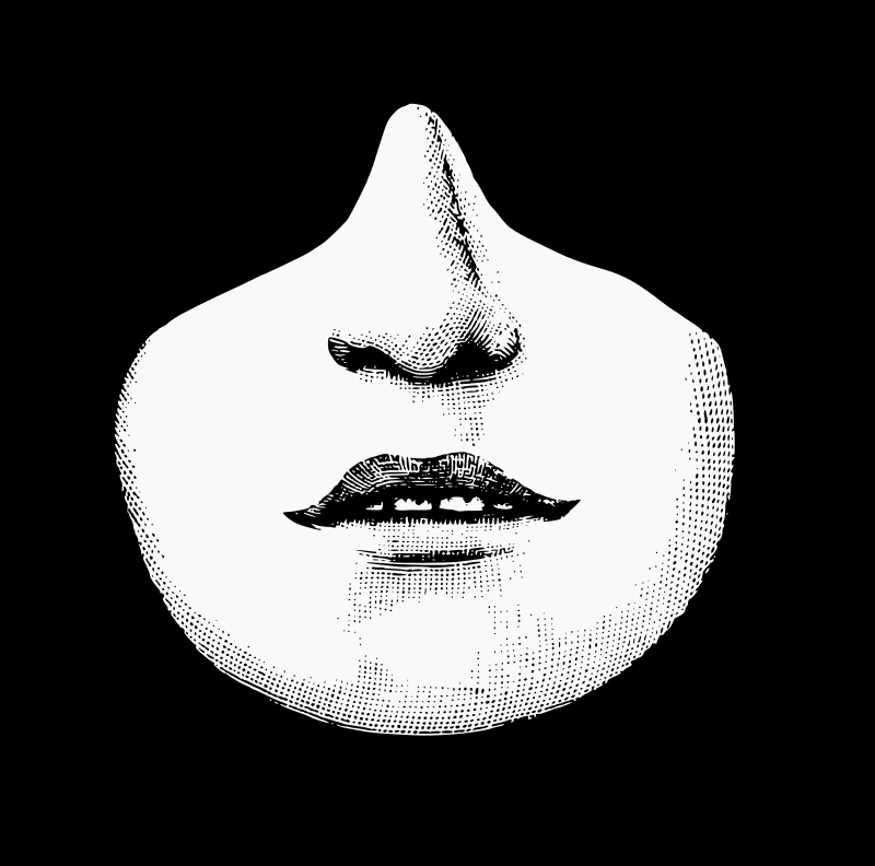 Nose and mouth