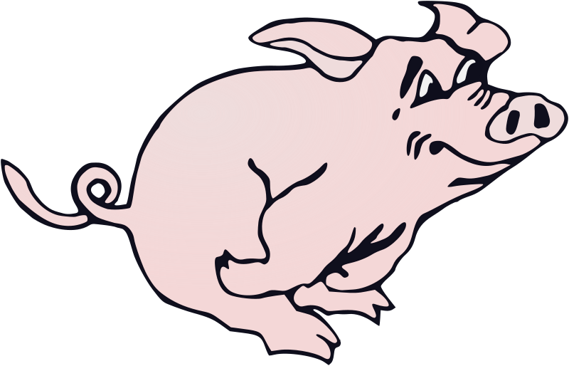 Running Pig - Colour Remix